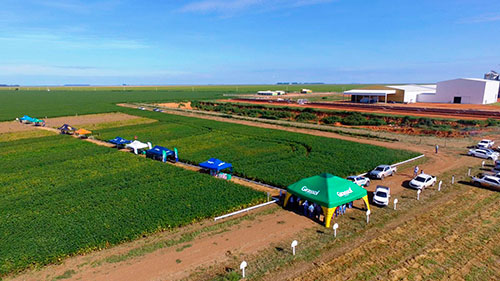Respaldo técnico de consultorias contribui para a tomada de decisão do produtor rural