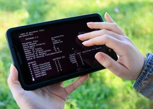 Tecnologias da Embrapa na 47ª Expointer apoiam a recuperação da agricultura gaúcha