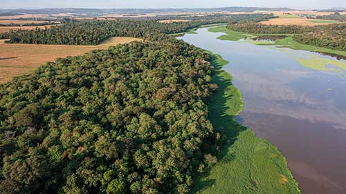 Itaipu e Embrapa iniciam coleta de dados para inventário da faixa de proteção do reservatório