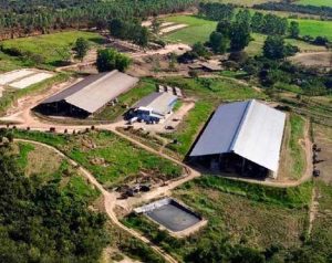 Interleite 2024: como uma propriedade rural passou de fazenda de subsistência a produção diária de 20 mil litros de leite