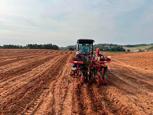 Com plantadeira de videira inédita no Brasil, Salton consegue plantar mais de um hectare de uva por dia