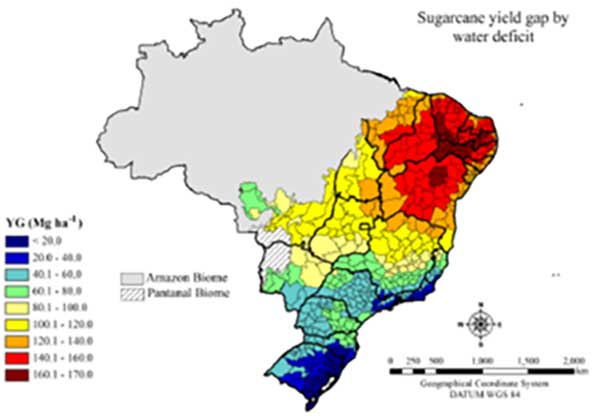 Os efeitos da irrigação no cenário canavieiro para a safra 2024/2025