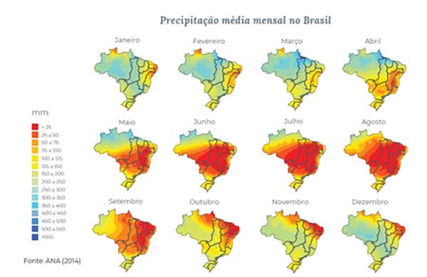 Os efeitos da irrigação no cenário canavieiro para a safra 2024/2025