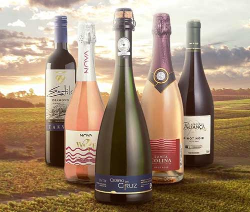 NOVA, a marca mãe dos vinhos finos de uma das maiores vinícolas do país