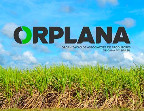 Projeto de Lei que assegura direitos dos produtores de cana aos CBIos é aprovado na Câmara e segue para Senado