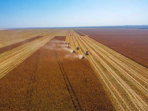  Agoro Carbon Alliance, da Yara International, marca presença no Top Farmers 2024 com caso de sucesso da Fazenda Gravataí