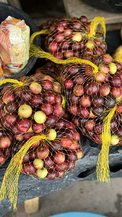 O 'ouro da amazônia' é aposta para a indústria alimentícia