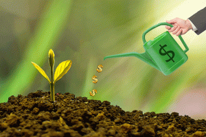 Investir no agro é boa alternativa, mas é preciso conhecer para não correr riscos