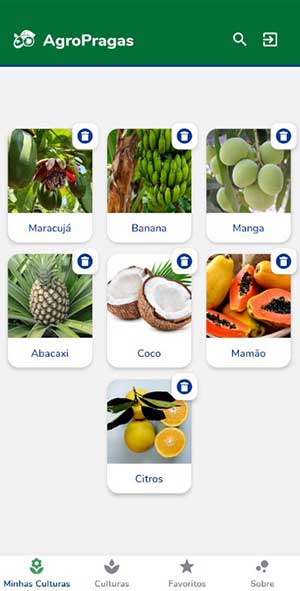 Plataforma digital disponibiliza dados sobre pragas de fruteiras tropicais