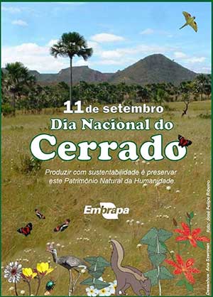 Restauração ecológica oferece novas perspectivas aos agricultores da bacia do Descoberto