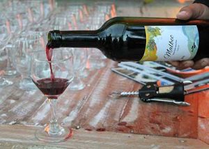 Agreste pernambucano se estabelece como polo produtor de vinhos