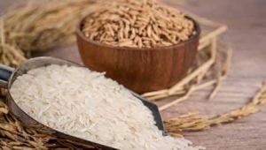 Com previsão de crescimento da área de arroz na safra 2024/2025, agricultores devem ficam em alerta para controle de gramíneas