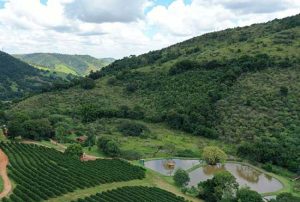 Jungheinrich Brasil lidera campanhas em favor do meio ambiente com ações práticas de ESG