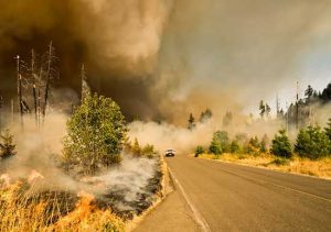 Queimadas: carbonato de potássio pode ajudar a recuperar o solo