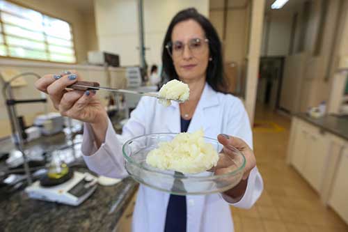 Macaúba pode ser aposta ecologicamente sustentável para gorduras industriais
