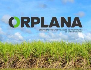 Atualização dos impactos das queimadas para os produtores de cana-de-açúcar