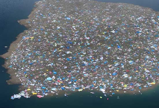 Dia Mundial do Mar: entenda como a educação ambiental pode contribuir para a preservação dos oceanos