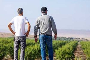 Multinacional inicia no Brasil implementação de programa de capacitação de agricultores para o Mercado de carbono