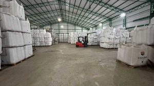 Empresas de sementes intensificam preparativos logísticos para atender demanda da safra de soja