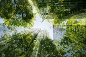 Schneider Electric prorroga inscrições de prêmio de sustentabilidade para empresas