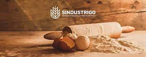 9º Encontro do Trigo de São Paulo debate projeções e tendências futuras para a cadeia do cereal