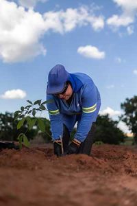 Tereos lança Relatório de Sustentabilidade da safra 23/24