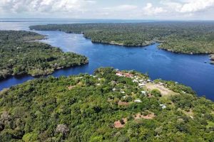 UCB lança projeto de armazenamento de energia que utiliza baterias de sódio em comunidade remota da Amazônia