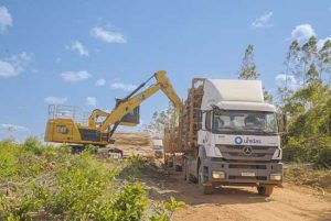 Unidas oferece soluções voltadas para os segmentos madeireiro e florestal