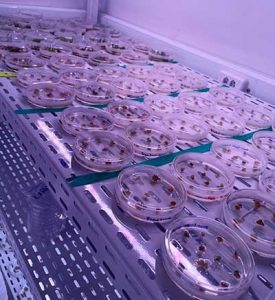 Projeto visionário em pesquisa e inovação completa um ano e consagra marca WIN no mercado