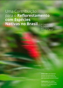 Brazil Climate Summit: empresas apresentam propostas para restauração florestal brasileira