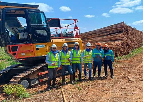 O capital humano como essência da revolução tecnológica florestal