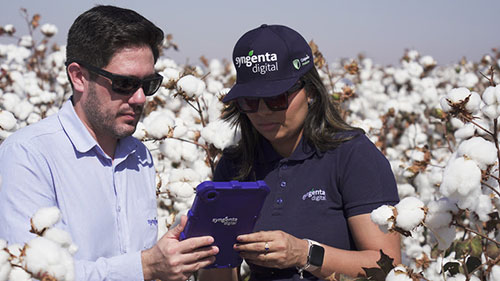 Soluções de agricultura digital e para o manejo de pragas são os destaques da Syngenta para o 14º Congresso Brasileiro do Algodão