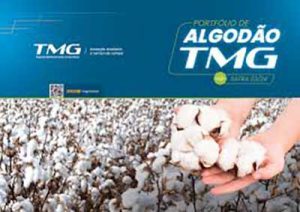 Qualidade aprimorada da fibra confere novos mercados ao algodão e Brasil se estabelece como líder global