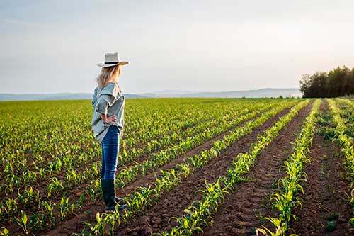Virtueyes reforça o protagonismo feminino e se une a grandes marcas para transformar o agro