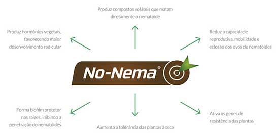 Vittia participa do 39º Congresso Brasileiro de Nematologia