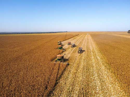 Agoro Carbon Alliance, da Yara International, marca presença no Top Farmers 2024 com caso de sucesso da Fazenda Gravataí