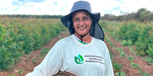 Aperam BioEnergia recebe Selo de Sustentabilidade por possibilitar que pequenos agricultores cultivem alimentos em suas florestas plantadas