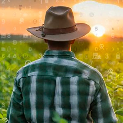 Primeiro ano da Agroallianz é marcado por crescimento sustentável e inovação