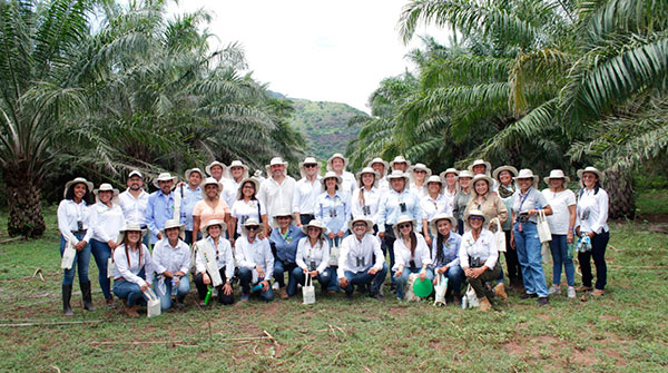 BASF e Solidaridad se unem para fortalecer cadeia de suprimentos de óleo de palma sustentável na Colômbia