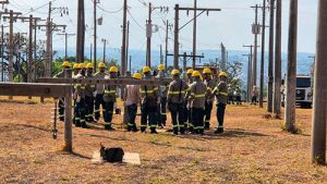 Cemig Agro define primeiras bases no interior de Minas e já prepara novos eletricistas para atuação