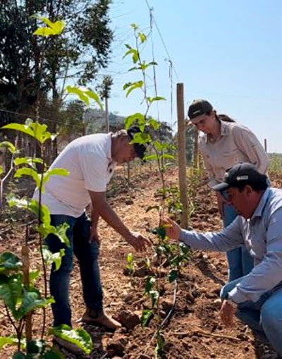 Coopercam lança Projeto Fruticultura