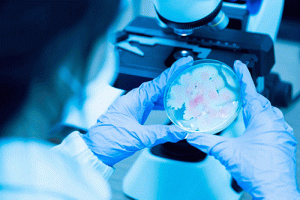 Fórum Bioinsumos Brasil destaca inovação e crescimento sustentável no setor agrícola