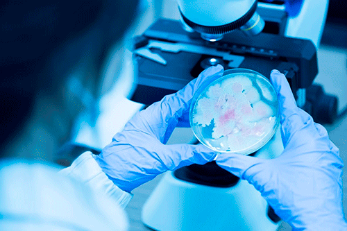 Fórum Bioinsumos Brasil destaca inovação e crescimento sustentável no setor agrícola