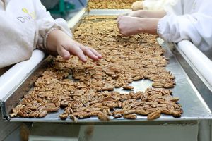 Divinut apresenta as nozes gaúchas no encontro nacional do setor em São Paulo