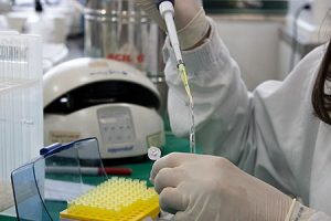 Protocolo orienta o uso de ressonância magnética no estudo do metabolismo de plantas