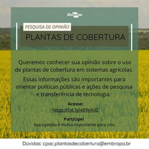 Embrapa quer saber como está a adoção de plantas de cobertura por produtores rurais brasileiros