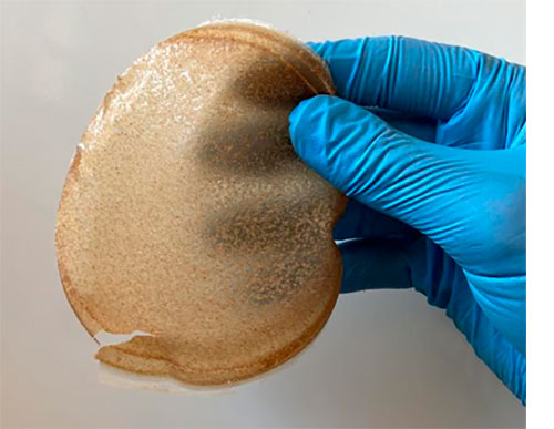 Embrapii apoia criação de utensílios biodegradáveis a partir da mandioca