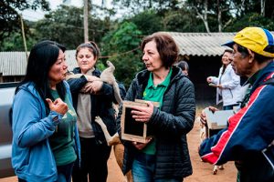 Abelhas sem ferrão proporcionam sustentabilidade e renda em São Bernardo do Campo