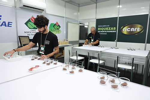 Ficafé e Feira de Sabores 2024 começam nesta terça-feira, em Jacarezinho