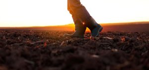 Especialistas do IBPT e de outras entidades discutem se o agro está em crise ou não, durante Fórum